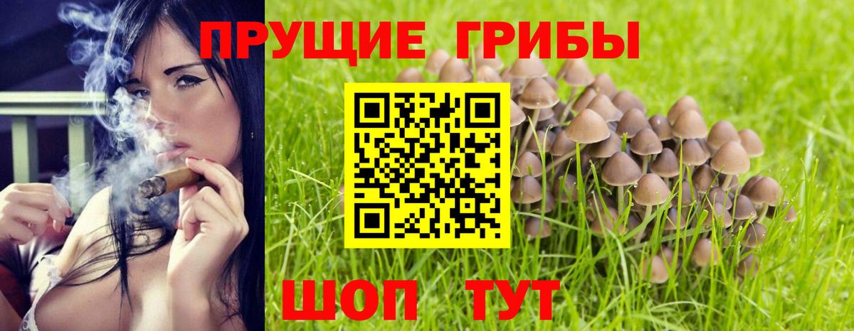 Мончегорск  Галлюциногенные грибы мухоморы  где купить наркотик  Вход с VPN  Псилоцибиновые грибы мухоморы 
